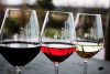 Verres à vin