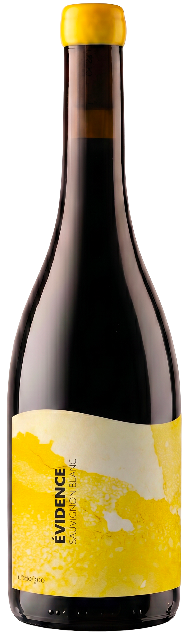 Sauvignon blanc Pépite Domaine du Paradis