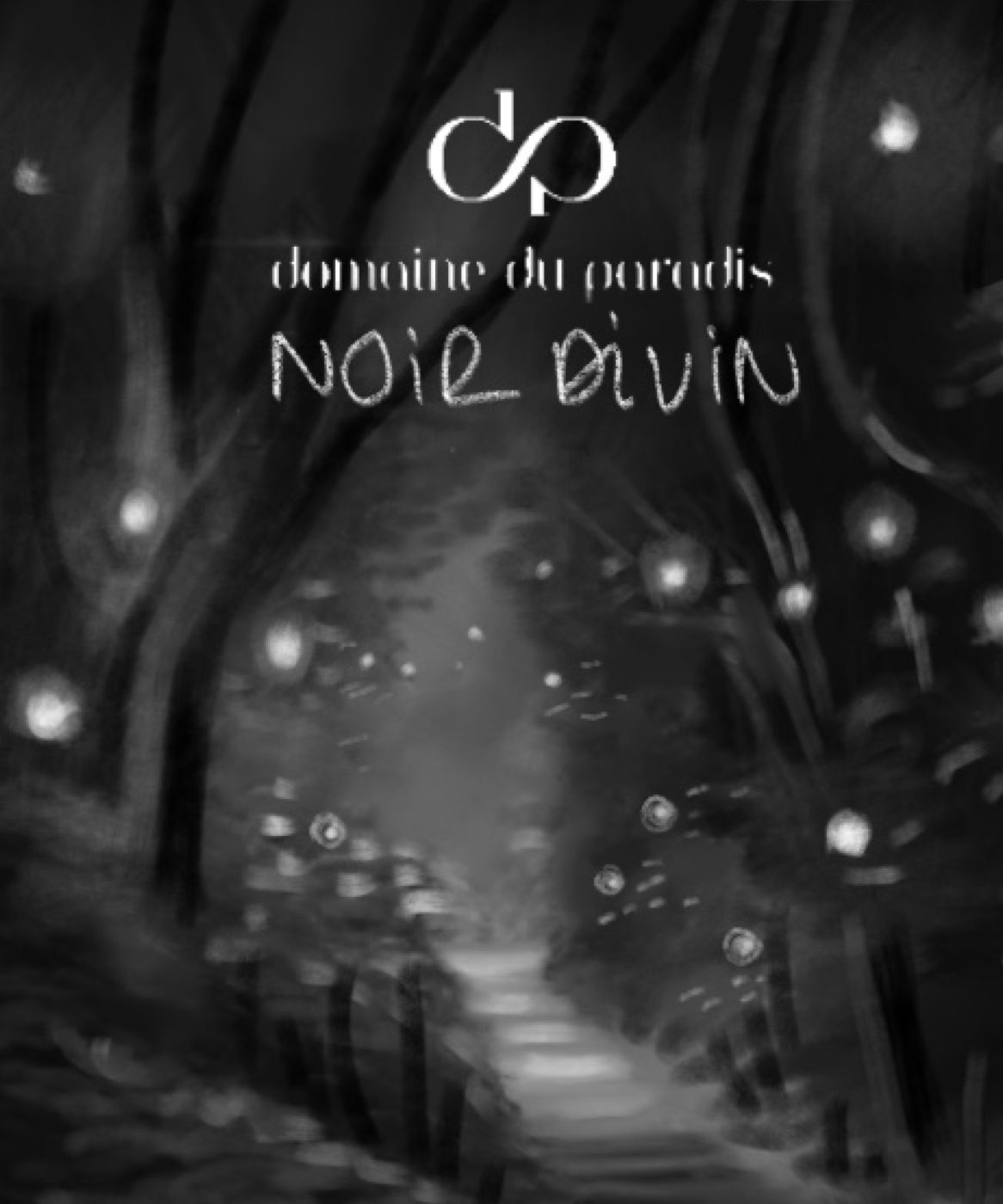 Noir Divin par Gaëlle Vejlupek