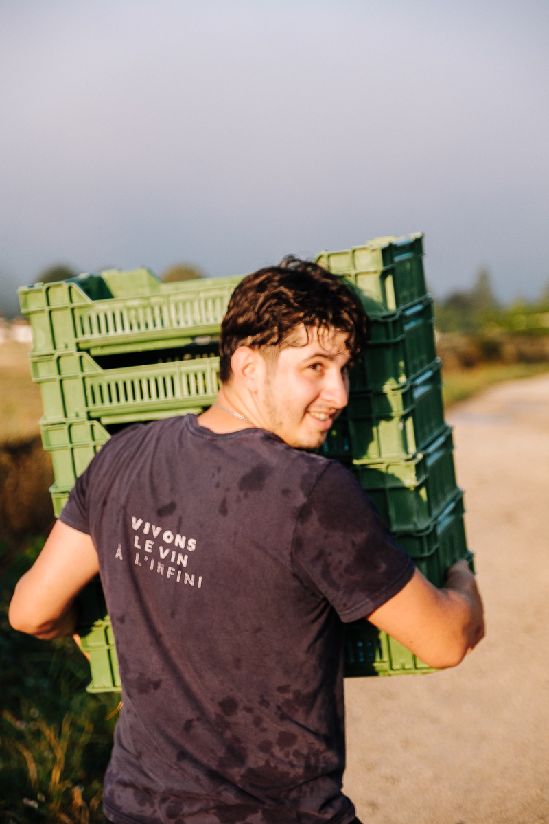 Silviu Mihalache | Domaine du Paradis